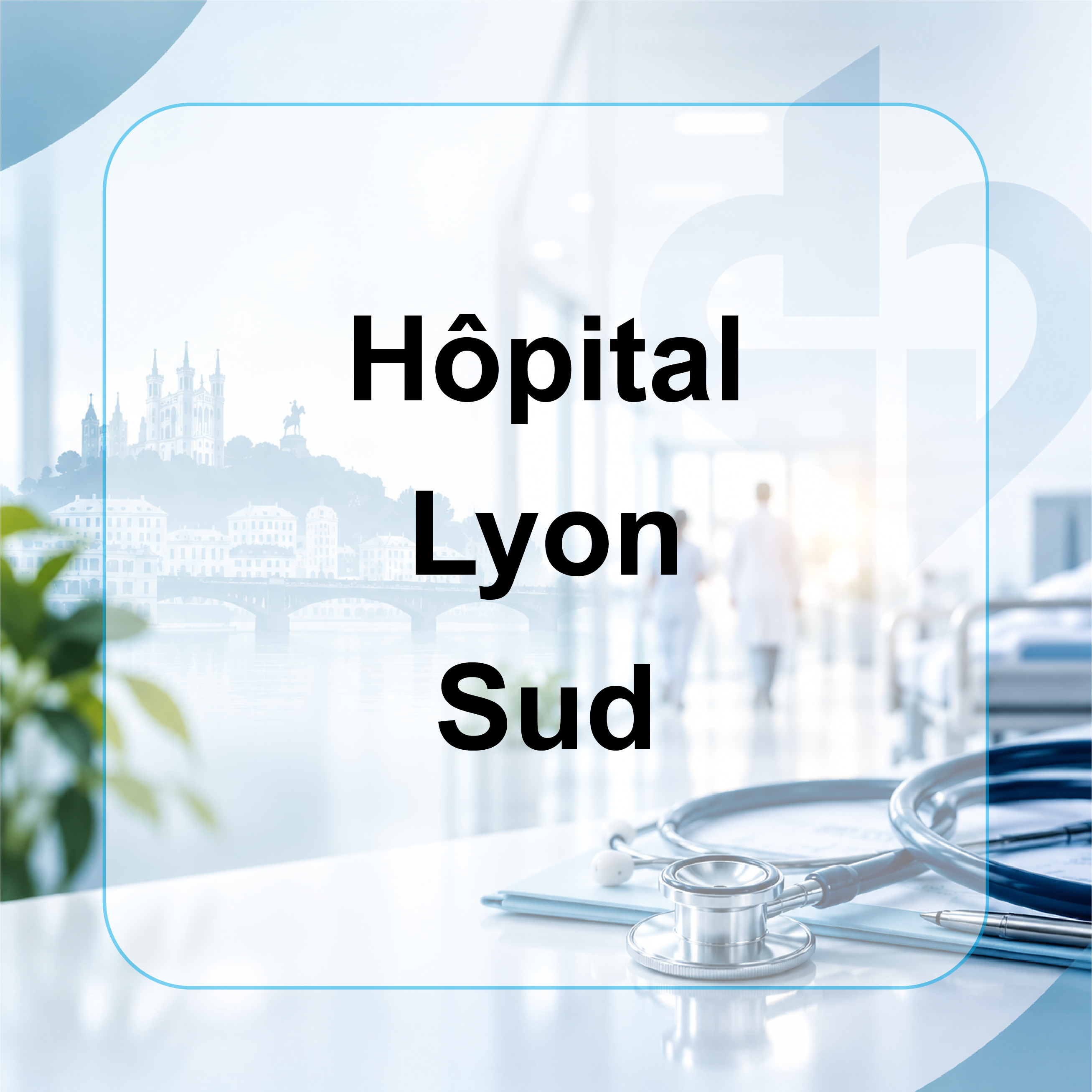 hospices de Lyon