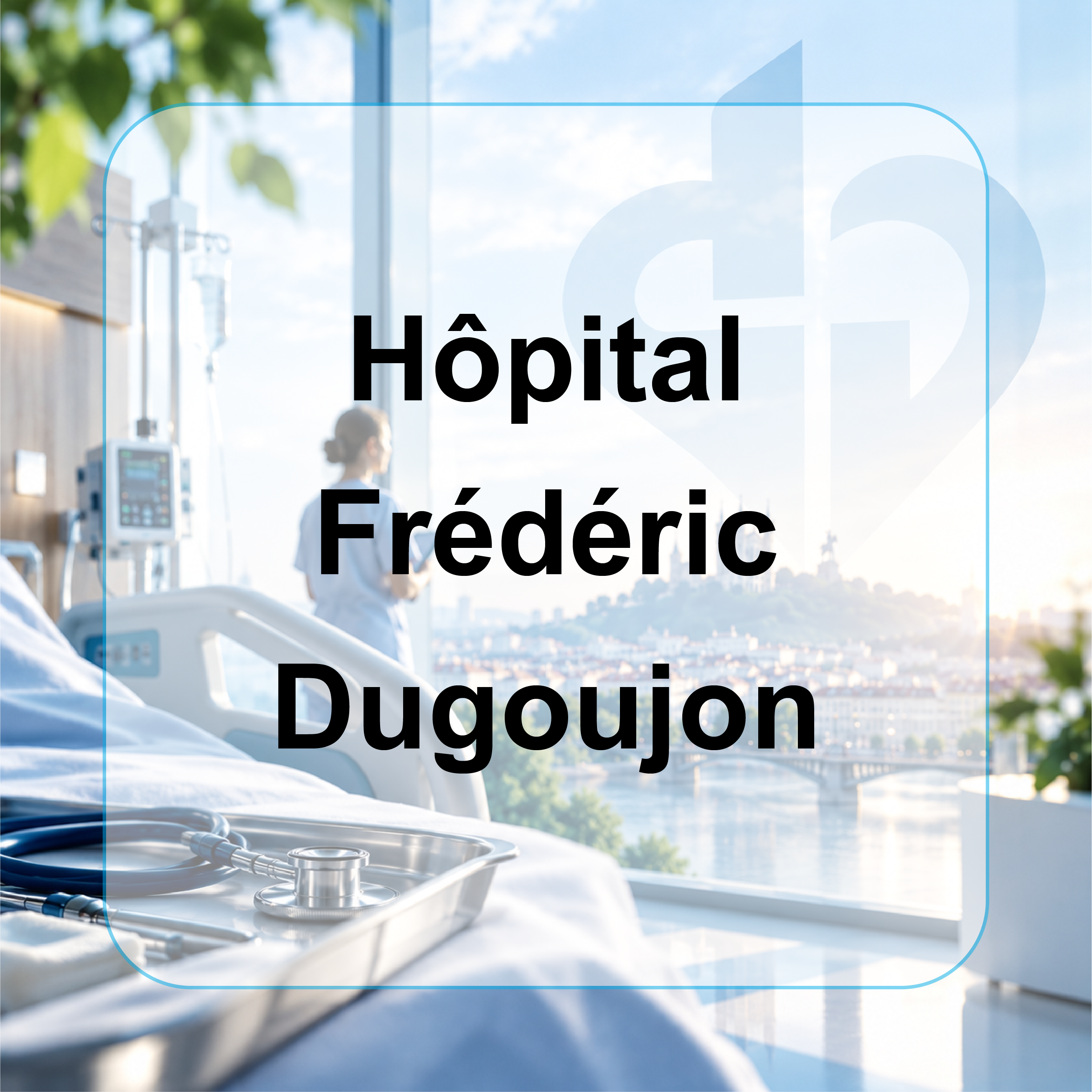 hospices de Lyon
